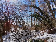 66 Scendendo sulla variante alta del sent. 505